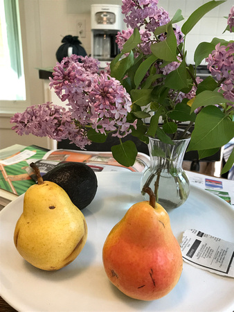 Pears and lilacs--Martha Morss