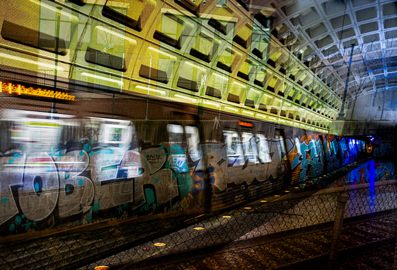 Graffiti Train-Laurie Stevenson