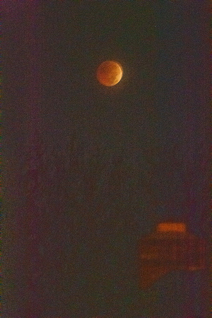 Blood Moon - Fohl