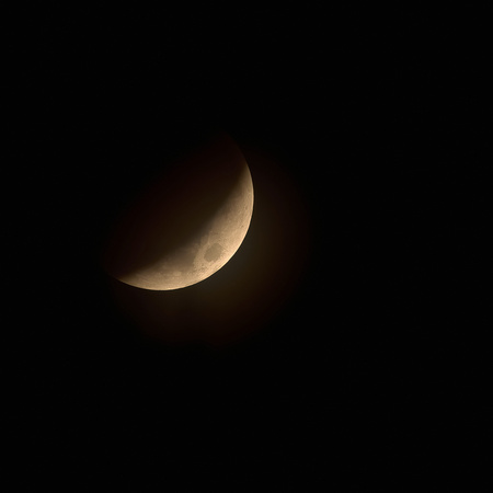 Moon Eclipse-Nov 08 2022- Gerry Allen