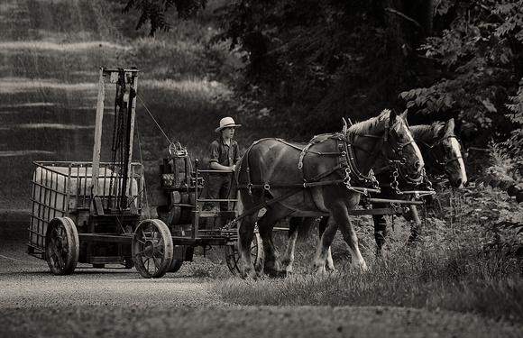 Amish chores - Dick Wood