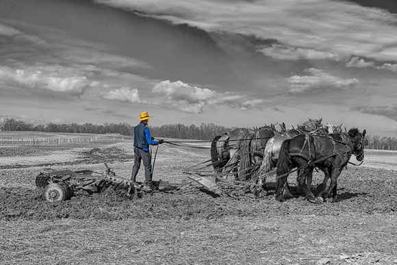 1- Amish Lad Working The Soil  - Joe C.. Chunko - #2 - Amish Lad Working The Soil