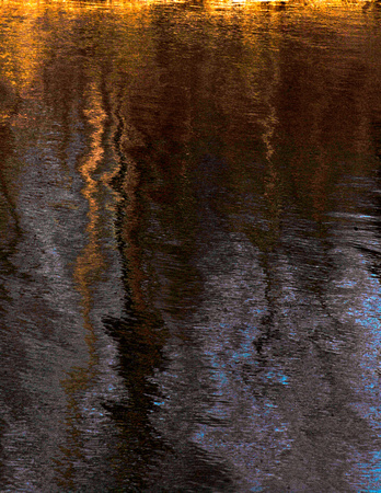 Reflections-DSC3946W. McCracken