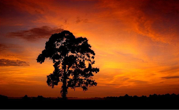 Sundown Silhouette --Larry Kennedy