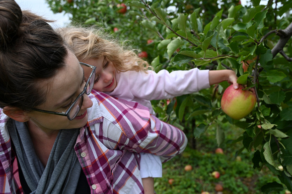 Piggy Back Apple picking-RBuck.jpg beginner