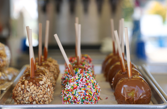 "Gooey Goodness" Caramel Apples, Coshocton County Fair, Karen Scott