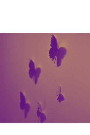 Butterfly Shadows - La Follette