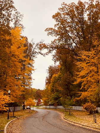 Fall colors-Boris Rudkevich