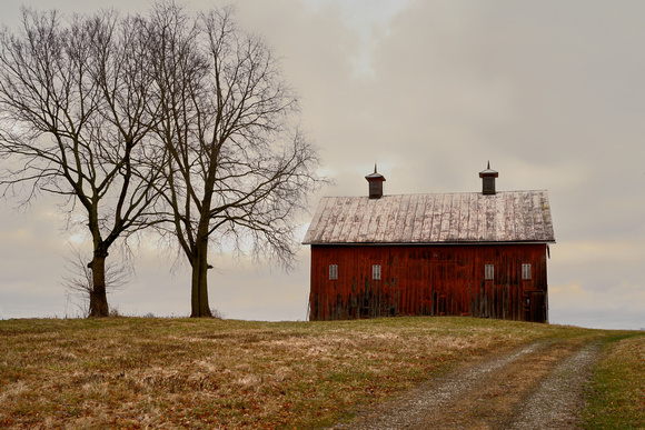 Early winter in Ohio -  Dick Wood