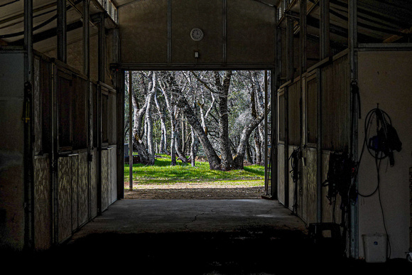 Beyond the Stable-John Butterfield