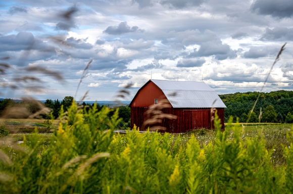 Windswept Barn- Linda Alvarado