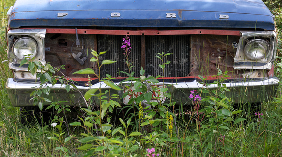 McCarthy Alaska Abandon Truck-Jerry Rampelt