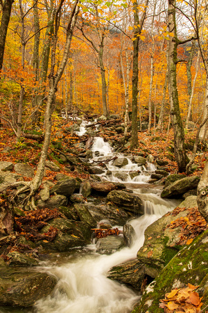 Fall in Vermont - Ken Wurm