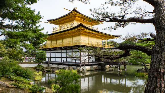 Golden Pavilion Kyoto Erickson